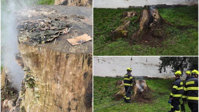 V Tyršových sadech v Pardubicích hořel pařez, který nebylo vůbec snadné uhasit